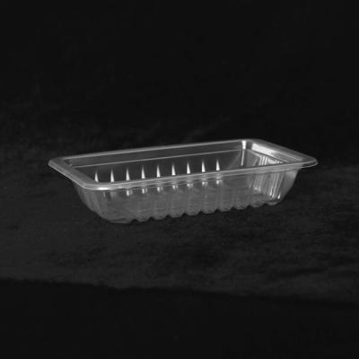 Rectangular PP Disposable Plastic Tray Blister Plastic Tray For Food Packaging