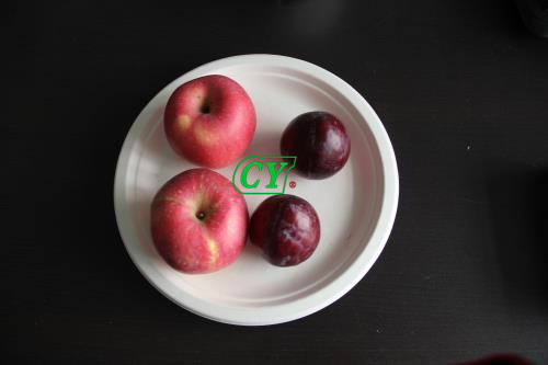 Pulp Molded Tray Edge Trimming Machine