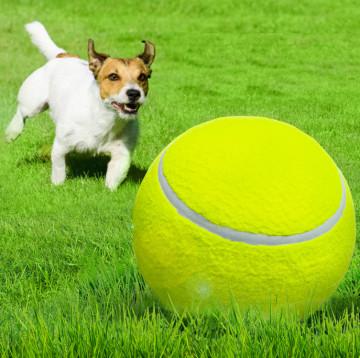 9.5Inflatable Rubber extra large tennis ball for dogs traning Outdoor