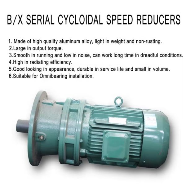 Custom Cycloidal Pinwheel Reducer Gear Motor with High Reduction Ratio High Transmission Efficiency and Compact Structure for Industrial Applications