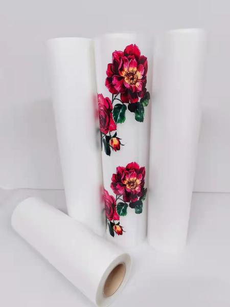 Double Sided DTF PET Film Width 60cm Heat Transfer Printing Film