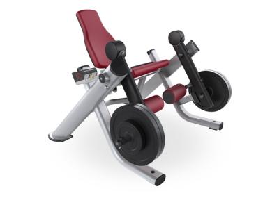 Placa comercial as máquinas carregadas do Gym promovem o equilíbrio da biomecânica