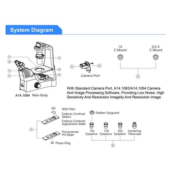 OPTO EDU A14.1064 Inclined Phase Contrast Fluorescence Microscope