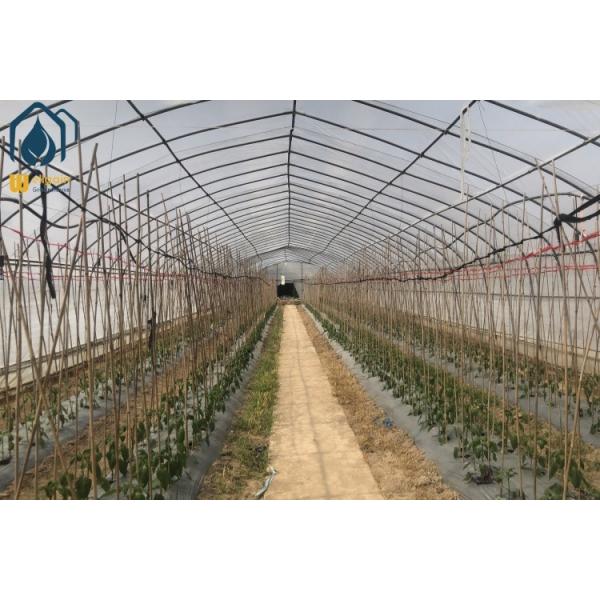Arched Tunnel Greenhouse OEM Agricultural Green Houses For Small Vegetables Farming