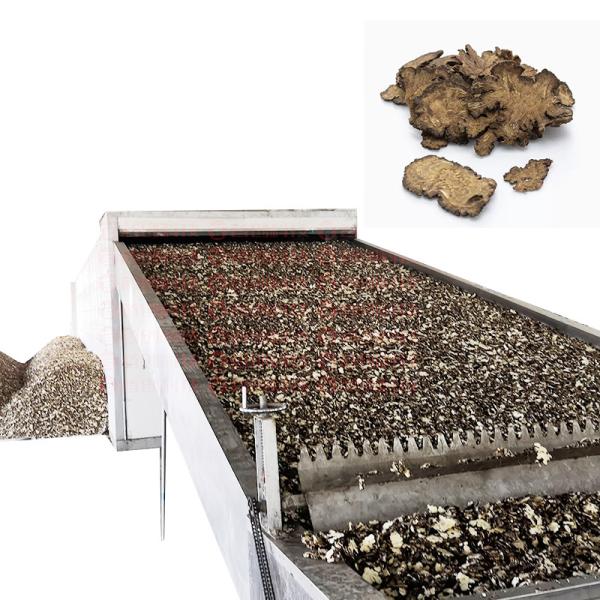 Customized Dehydration Mesh Belt Dryer High Thermal Efficiency