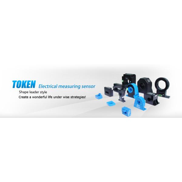 Nanjing Token Electronics Science&Technology Co., Ltd.