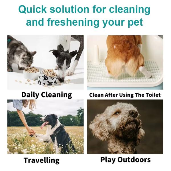 Soft Pet Wet Wipes OEM ODM Dog Wet Wipes For Cleaning Dogs Paw Face Eye