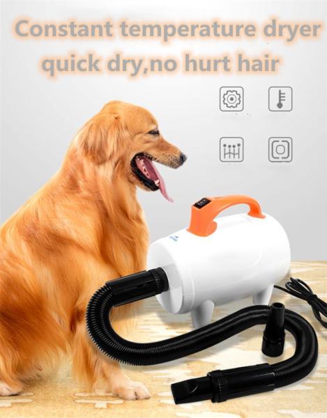 Water Blowing ABS 60 Decibel 1400W Dog Hair Dryer