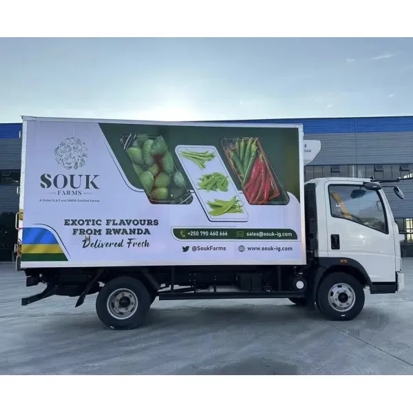 Affordable Used 4X2 Cold Storage Truck From Japan