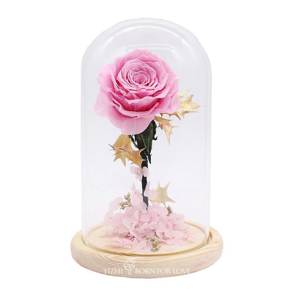 Home Decor Colorful Preserved Rose In A Glass Dome 7cm-8cm