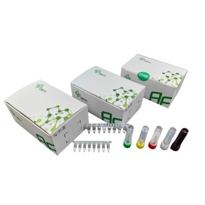 Kit de detecção do gene ORF1ab SARS-CoV-2 48 testes/Kit 5-20 minutos