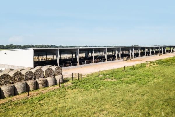 Aço Agricultura e Pecuária Construção Baler de palha redonda de 80 kg com serviço de corte