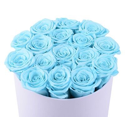 2020 Christmas Decorations Indoor Preserved Roses Box Valentine proserved Rose gift in Box