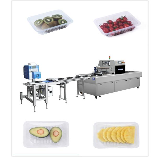 Industrial Horizontal Sealing Machine Stainless Steel For Fruit Vegetable