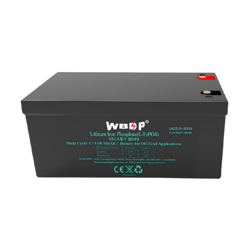 25.6V 24V 300Ah Lithium Battery High Capacity Lithium Camper Van Battery
