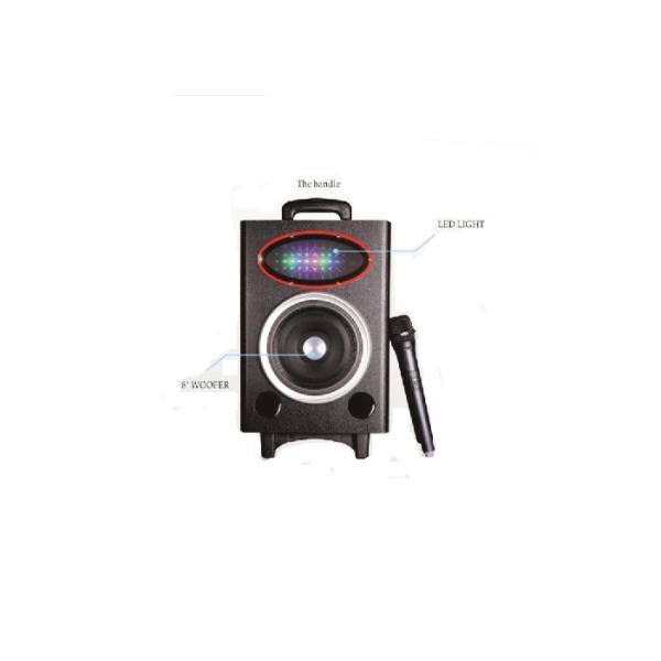Wedding Events Outdoor Waterproof Speakers , Audio Player Speaker With Wireless Mic