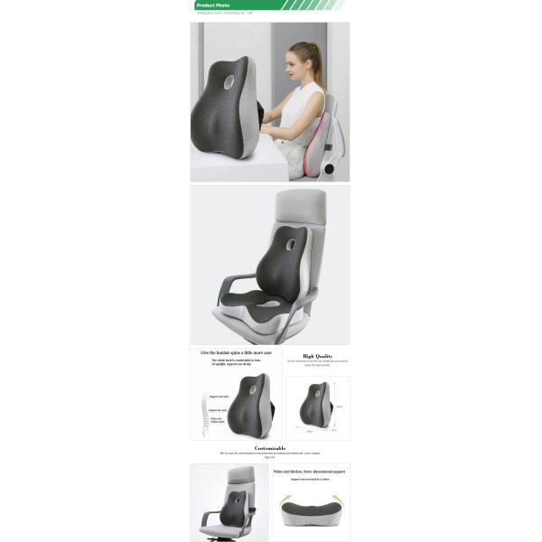 Memory Foam Back Cushion for Car Chair Home Office Modern Style Lumbar Support Pillow