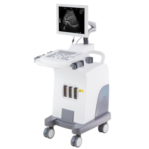 B/W Trolley Ultrasound Scanner For Clinic With Three Probe Connectors