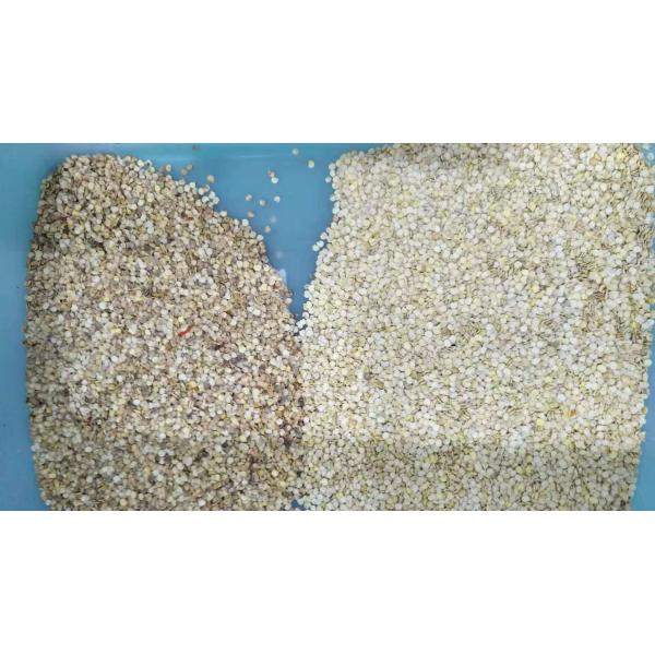 5400 Pixels Mini Coffee Bean Color Sorter   With High Accuracy