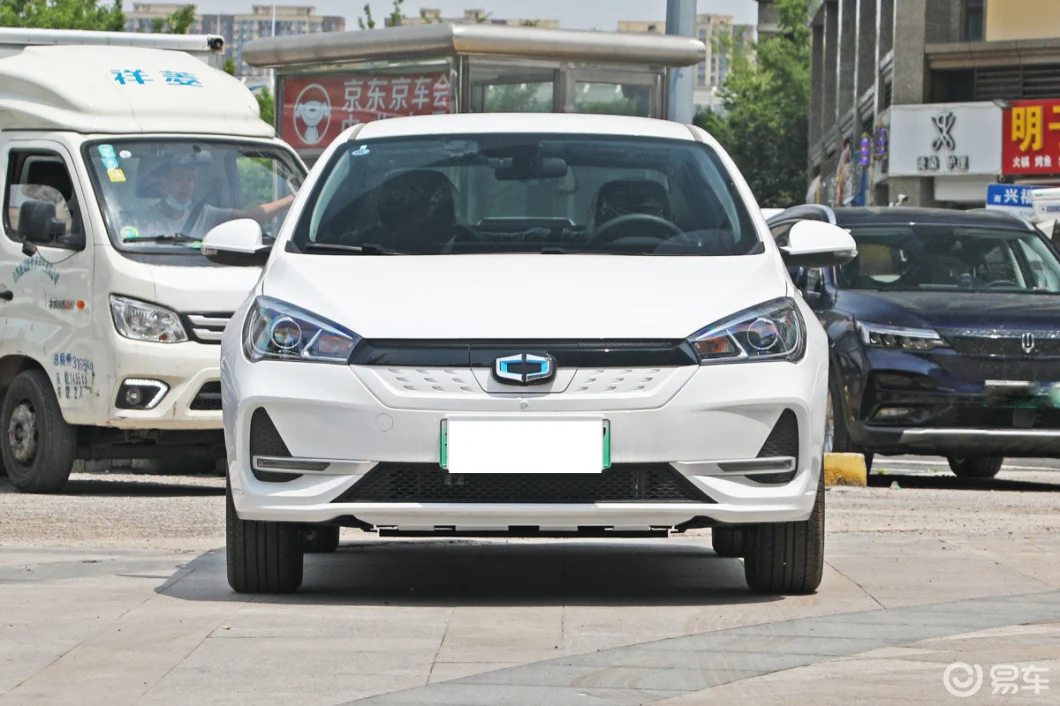 High End Quality Car Electric Wholesales Cheap Price New Energy Electric Car for Hot Sale