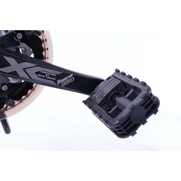 21 Speed Electric Mountain Bicycles 26 Inch Motor 250w 8AH Hidden Battery