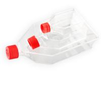 Frasco de cultura de células 100% PP para produtos de cultura de laboratório de citologia