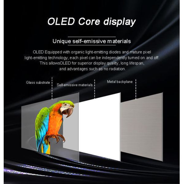 55 inch Educational Use PCAP Transparent OLED TouchScreen High Brightness Clear OLED Screen