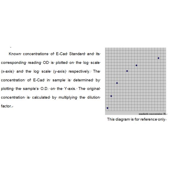 Mouse E Cad E Cadherin Elisa Kit Research Use Only Sandwich Method