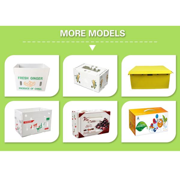 Плод гофрировал коробку рифленого листа PP брокколи пластиковой упаковки