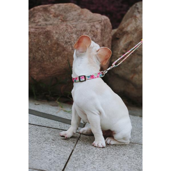 7.62m 25 Foot Nylon Anti Pull Dog Leash Around Chest Mouth Waist