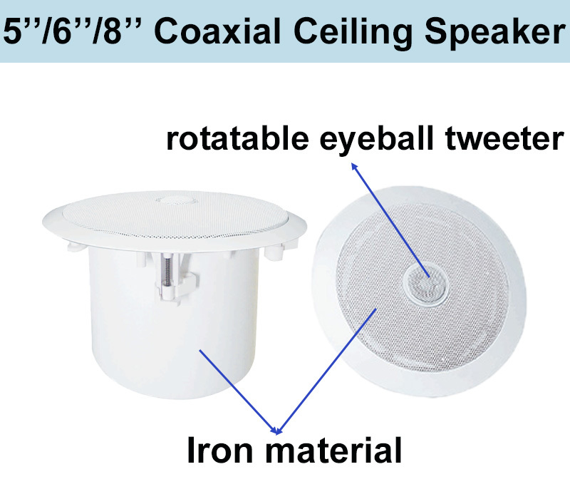 ODM Ceiling Speaker 100V/70V 5 Inch Coaxial Speaker With Rotatable Eyeball Tweeter