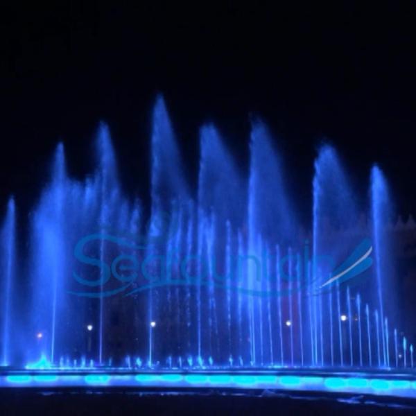 Mariez la fontaine d'eau accessoire changée