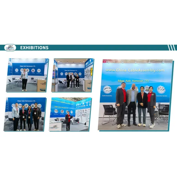 Custom Wire Harness Manufacturing Company China Fridge Cable Harness Assembly