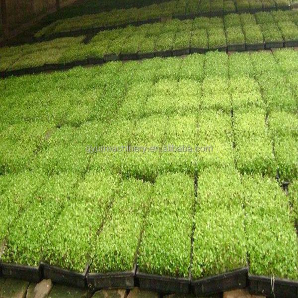 Домой Автоматический сеятель с подключением к подносу для сеяния семян в 6 рядов