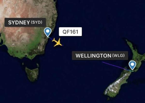 Safety Air Freight From China To Oceania Wellington With Consolidation Service