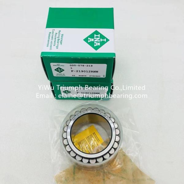 INA without cup double -row full complement cylindrical roller bearing F