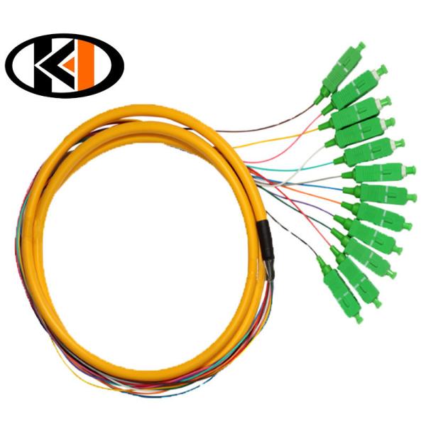 Ningbo Fiber Optic Patch Cord Multi Mode 5m Pigtail with SC FC ST LC UPC Connector Type