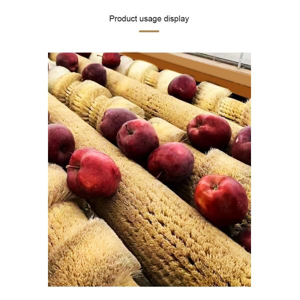 Industrial Cylindrical PP Vegetable Fruit Roller Brush For Washing And Peeling