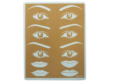 Fake Tattoo Practice Skins Material for Permanent Makeup Eyebrow Lip Tattooing
