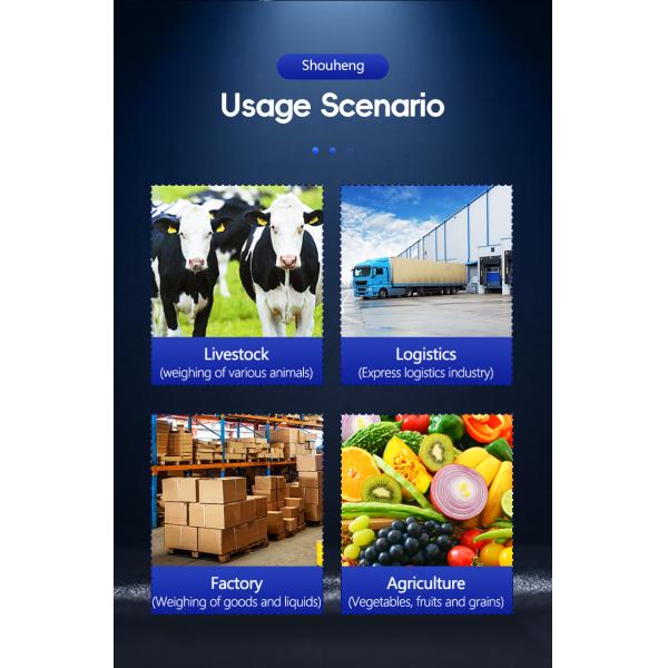 Industrial Carbon Steel Platform Scale 1.5m x 1.5m Ultra Low with Double Folded Ramp