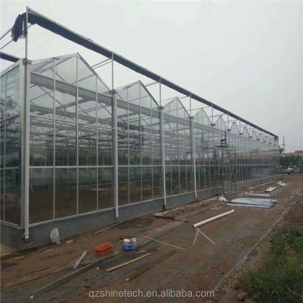 Multi Span Glass Greenhouse Agricultural Equipment for Vegetable Fruits and Flowers