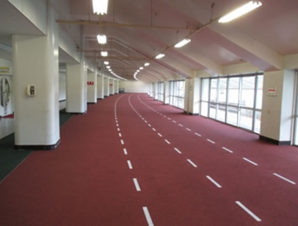 PSL 31 PVC Paste Resin Low Viscosity Foaming Speciality Paste Pvc Resin For Flooring