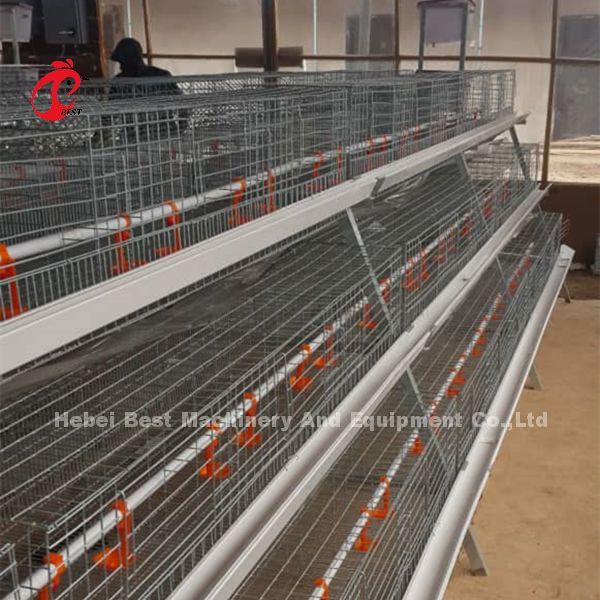 A Type Broiler Battery Cage Galvanized High Strength Poultry Broiler Cage  Iris