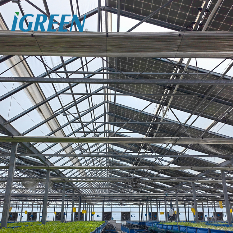 Теплица из поликарбоната Solar Gray для системы аквапоники