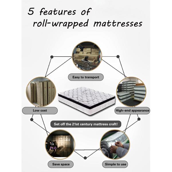 Non-Toxic Independent Pocket Spring Massage Knitted Cotton Breathing Fabric Furniture