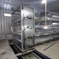 type de 0.75kw H système automatique d'alimentation de la volaille pour la cage de couche de poulet