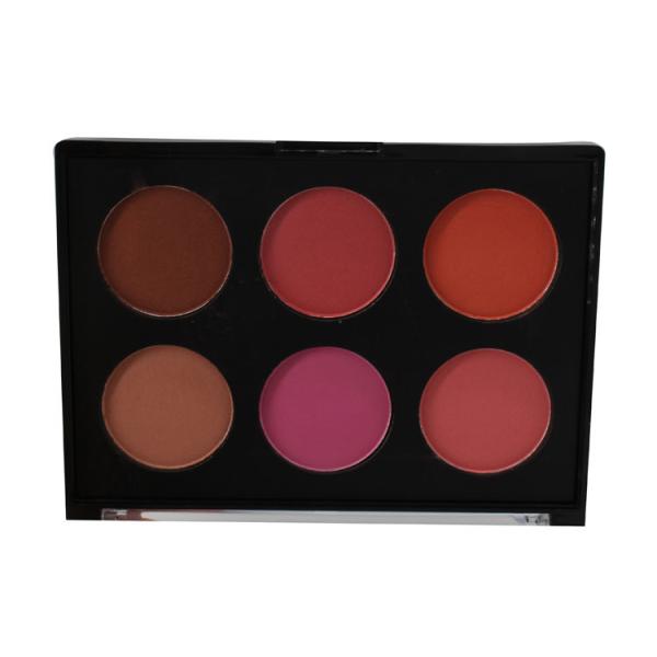 Профессиональный пинк краснеет палитра цветов макияжа 6 штейновая и Шиммер таможня логотипа