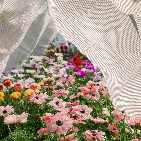 High Virgin HDPE Aluminum Foil Net Outdoor Shade Greenhouse Shading Screen Uv Resistant for the Vegetable Garden