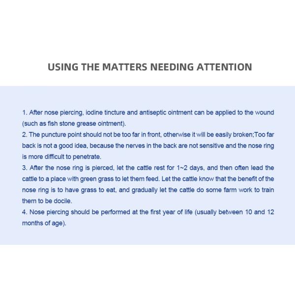 10mm Coarseness Bull Nose Ring With Durable Carbon Steel And Chrome Plating