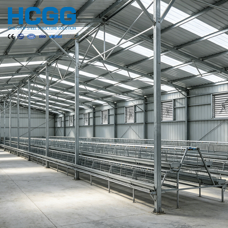 Steel Structure Poultry House engineered to provide space utilization and robust structural support for intensive poultry farming needs